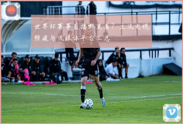 世界杯赛事直播哪里看?主流电视频道与流媒体平台汇总