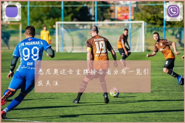 悉尼奥运会金牌榜各省分布一览引发关注
