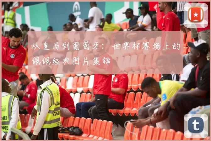 从皇马到葡萄牙:世界杯赛场上的佩佩经典图片集锦