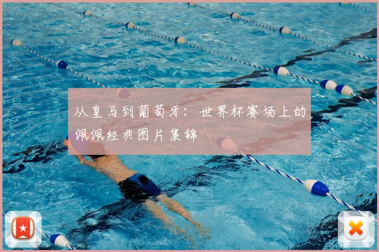 从皇马到葡萄牙：世界杯赛场上的佩佩经典图片集锦