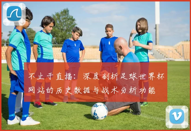 不止于直播:深度剖析足球世界杯网站的历史数据与战术分析功能