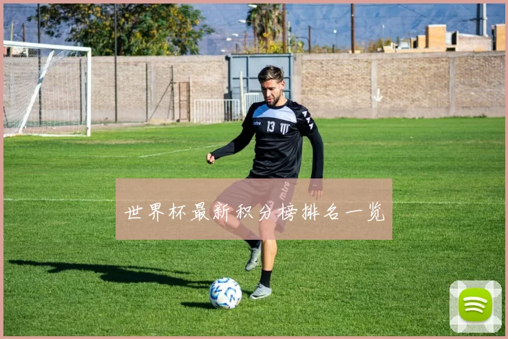 世界杯最新积分榜排名一览