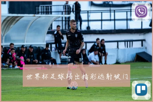 世界杯足球踢出精彩远射破门