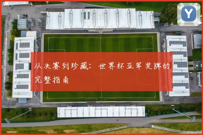 从决赛到珍藏:世界杯亚军奖牌的完整指南