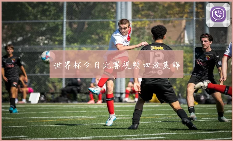 世界杯今日比赛视频回放集锦