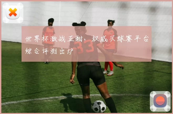 世界杯激战正酣，权威买球赛平台综合评测出炉